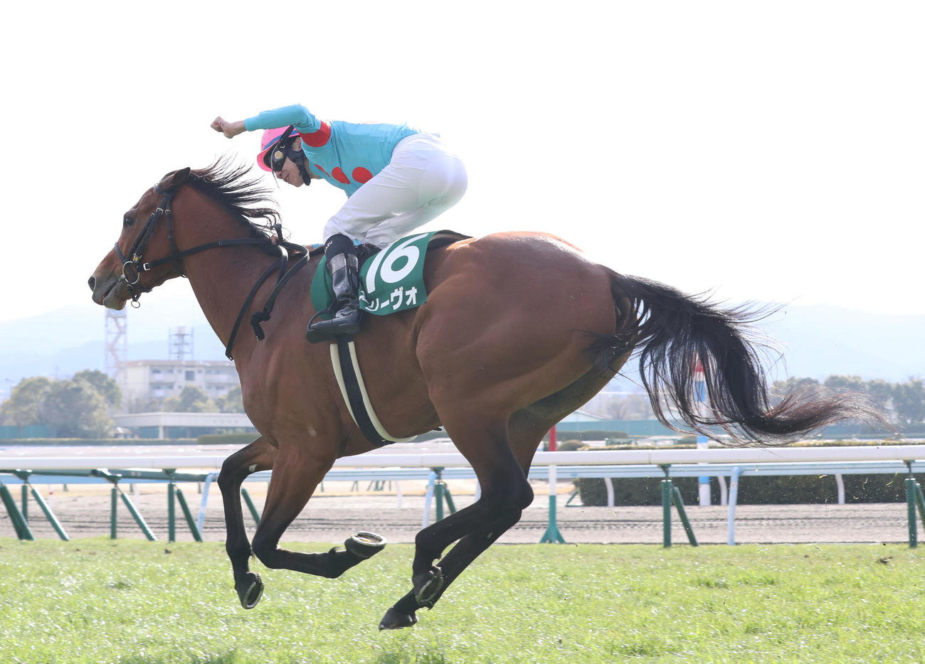 22年2月、小倉大賞典を制したアリーヴォと横山和生騎手