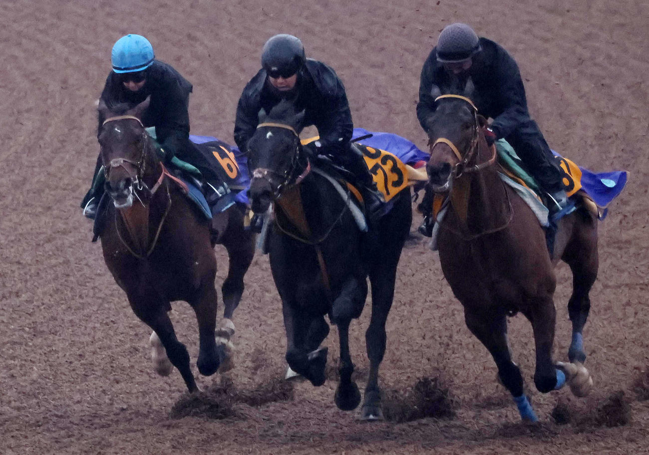 ダノンエアズロック（左）はキング騎手を背に美浦ウッドを3頭併せで追い切られた（撮影・丹羽敏通）