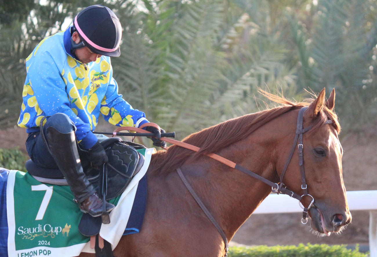 レース前日の調整を行うレモンポップと穂刈助手（撮影・木南友輔）