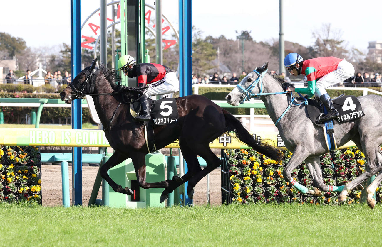 中山9R、水仙賞を制したクリスマスパレードと石川騎手（撮影・丹羽敏通）