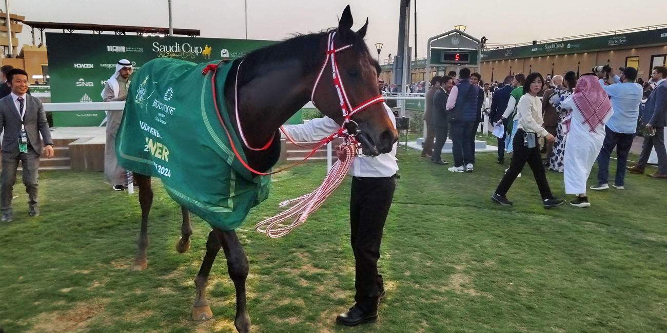サウジダービーを制したフォーエバーヤング（撮影・木南友輔）