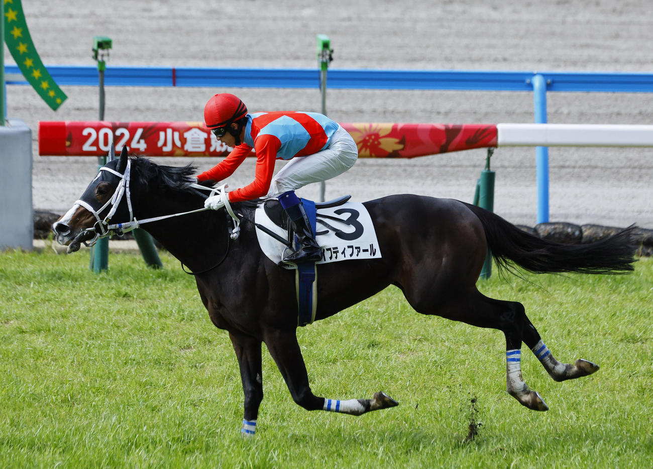 小倉4R、1着のイフティファール。森一馬騎手は障害100勝を達成（撮影・藤尾明華）