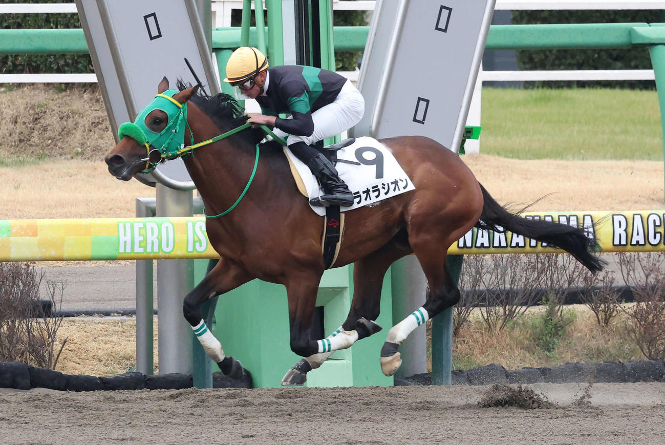 中山4R、3歳1勝クラスを制したラオラシオンと岩田望騎手（撮影・丹羽敏通）