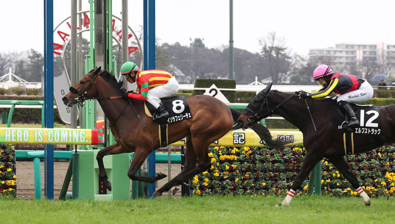 デイジー賞を制したイゾラフェリーチェと戸崎騎手（撮影・丹羽敏通）