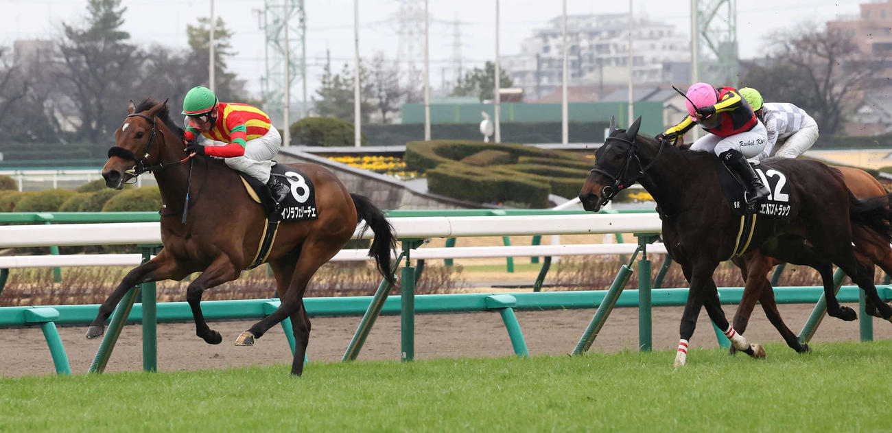 デイジー賞を制したイゾラフェリーチェと戸崎騎手（撮影・丹羽敏通）