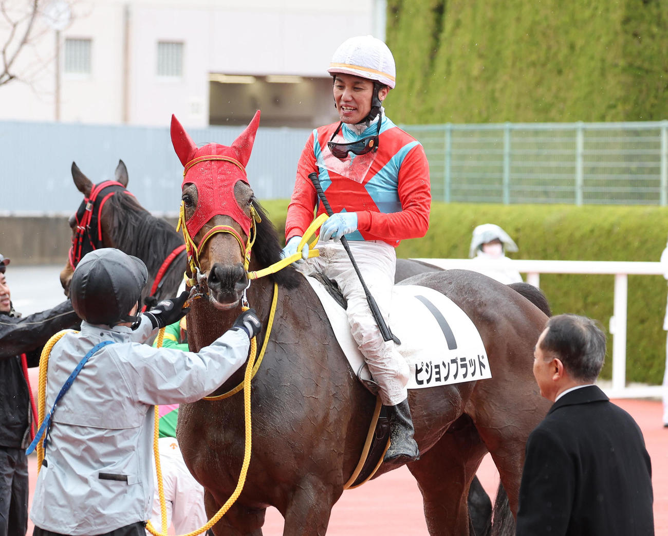 阪神8R、ピジョンブラッドに騎乗し引退レースを9着で終えた川島騎手（撮影・白石智彦）