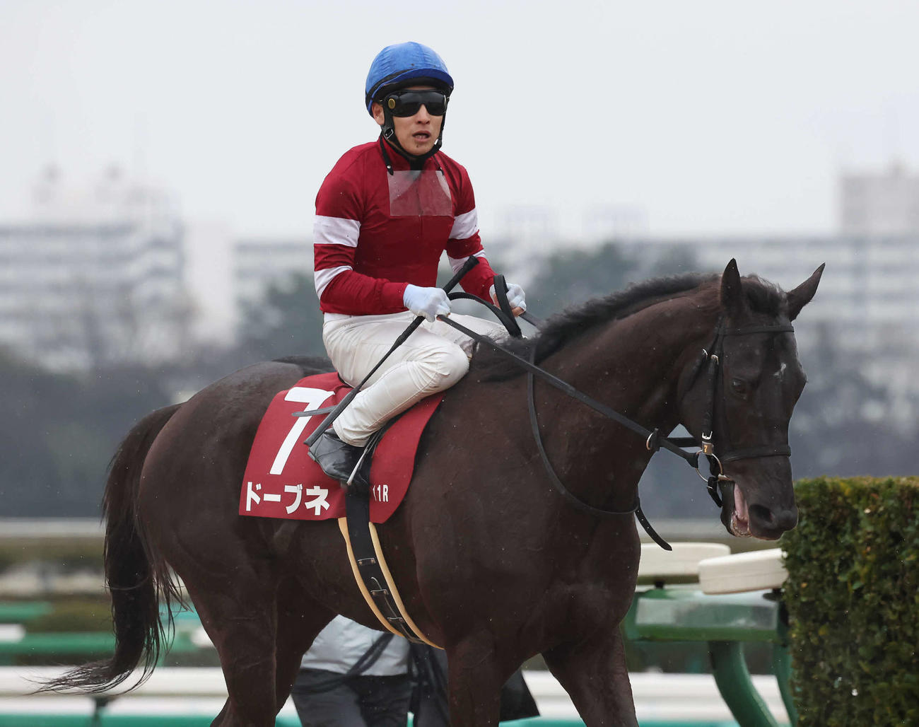 中山記念で2着になったドーブネと吉田隼騎手（撮影・丹羽敏通）