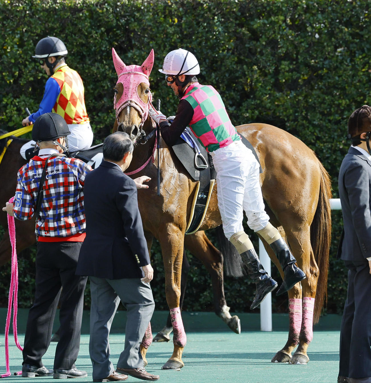 11R下関ステークス　ダンツイノーバで現役最後のレースを終え、下馬する秋山真一郎騎手（撮影・藤尾明華）