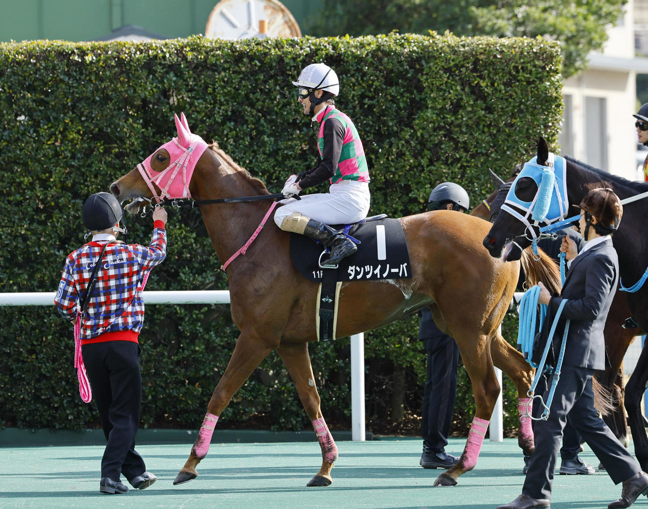 11R下関ステークス　ダンツイノーバで現役最後の騎乗を終えた秋山真一郎騎手（撮影・藤尾明華）