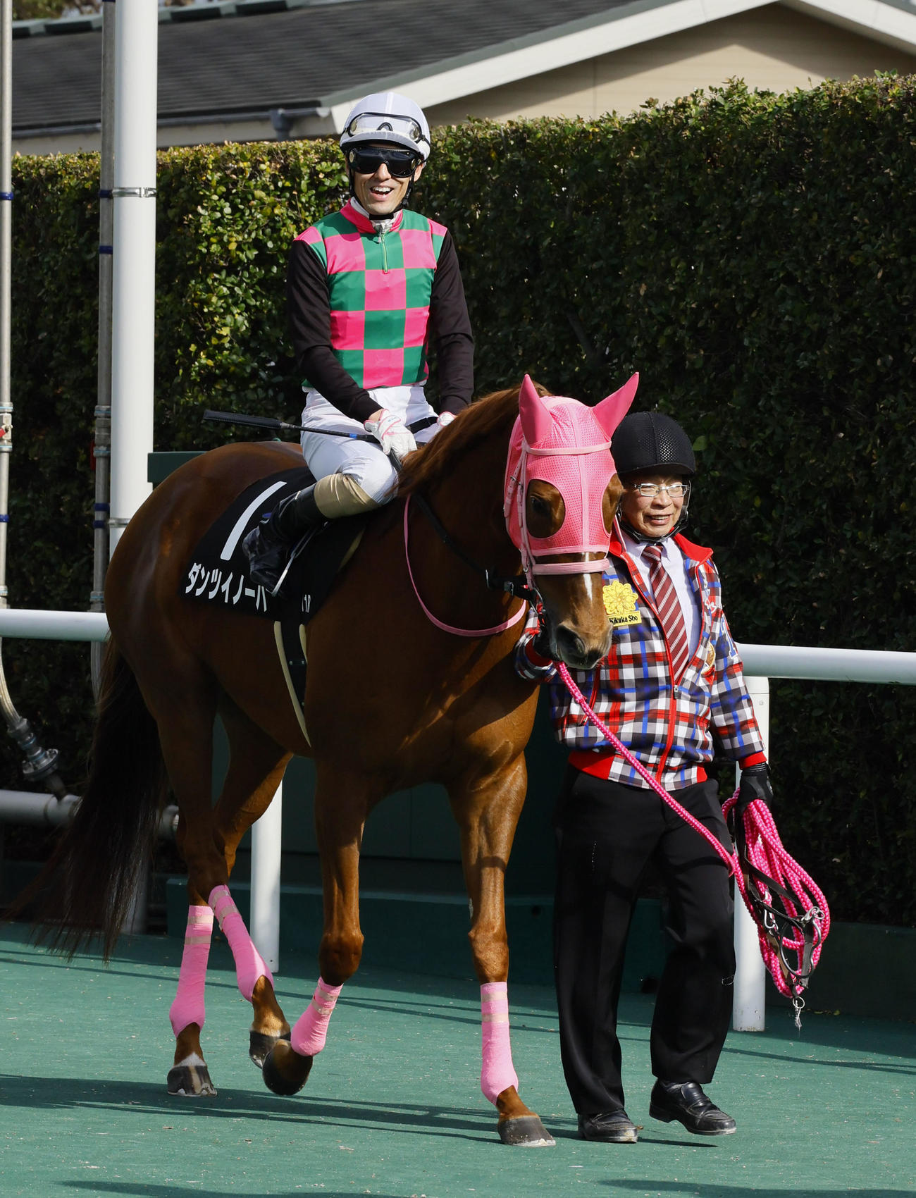 11R下関ステークス　ダンツイノーバで現役最後の騎乗に臨む秋山真一郎騎手（撮影・藤尾明華）