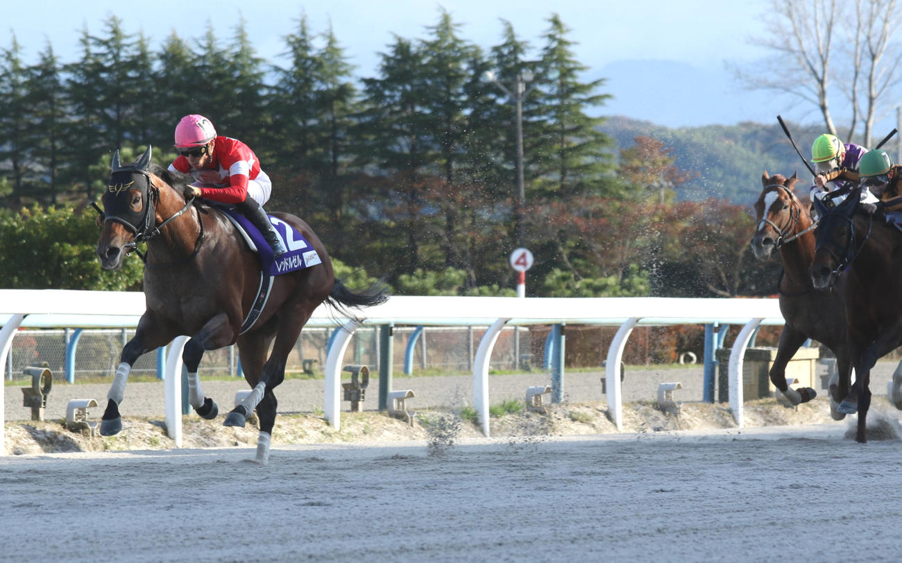 21年JBCスプリントを快勝したレッドルゼル