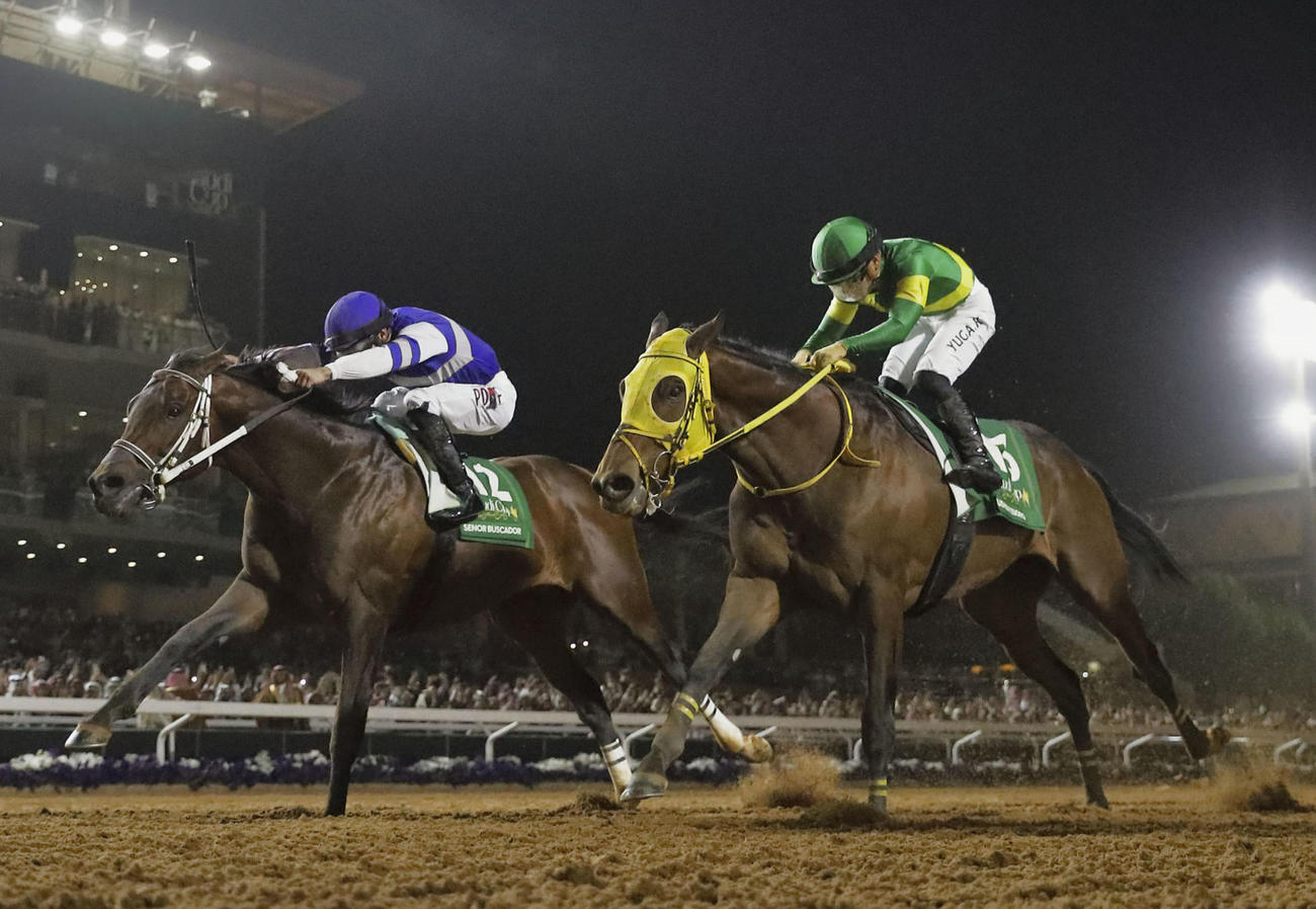サウジCでセニョールバスカドール（左）に続き2着となったウシュバテソーロ（共同）
