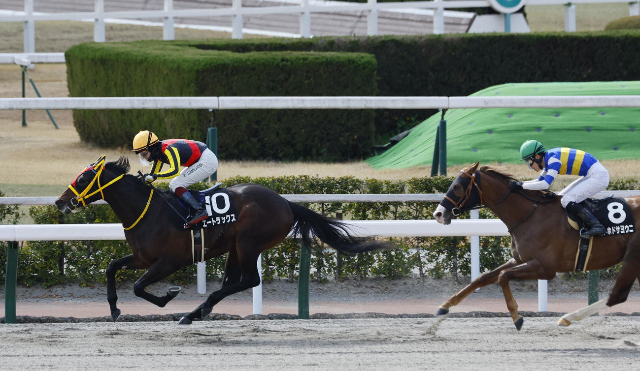ネモフィラ賞を制したエートラックスと鮫島駿騎手。右は2着のコトホドサヨウニ（撮影・藤尾明華）