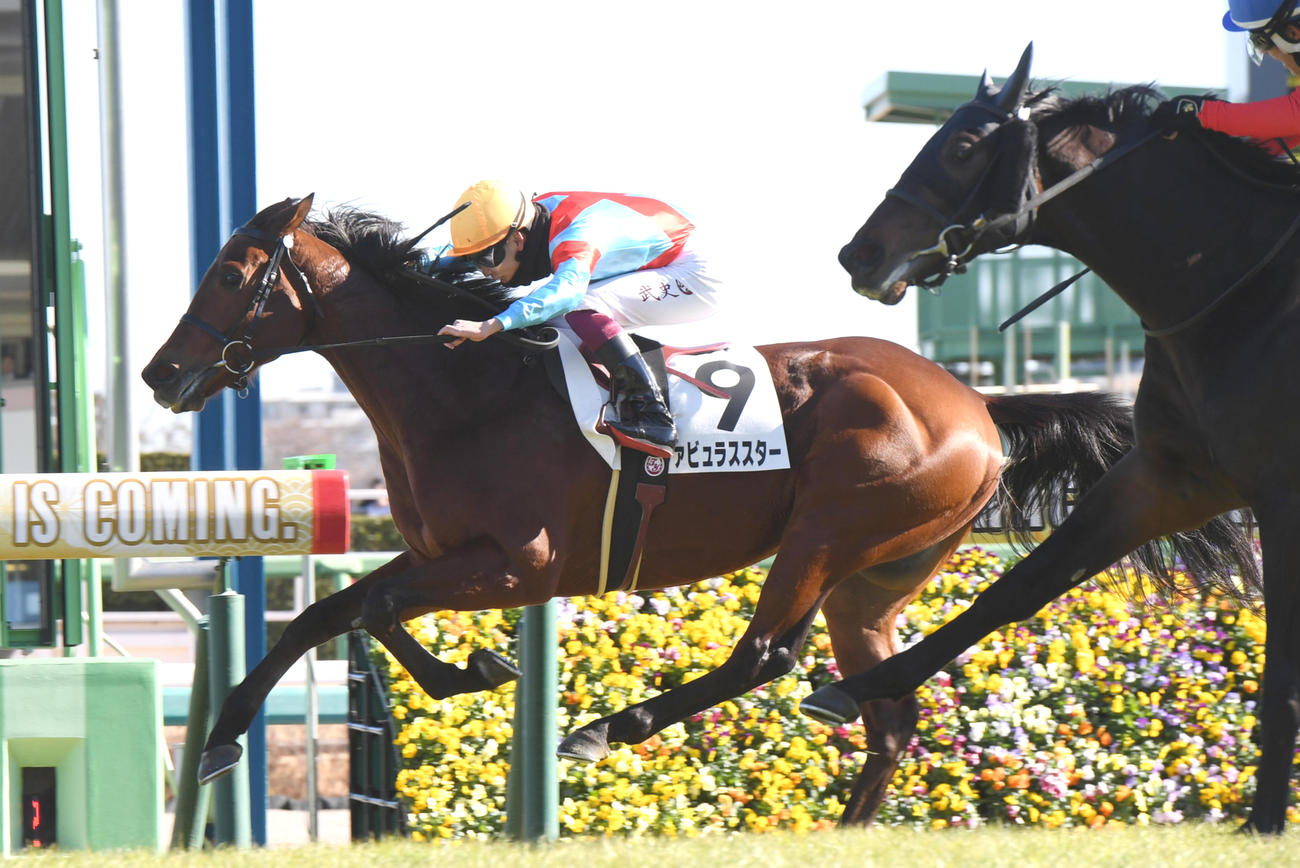 1月8日、中山6Rの3歳1勝クラスを制したファビュラススター
