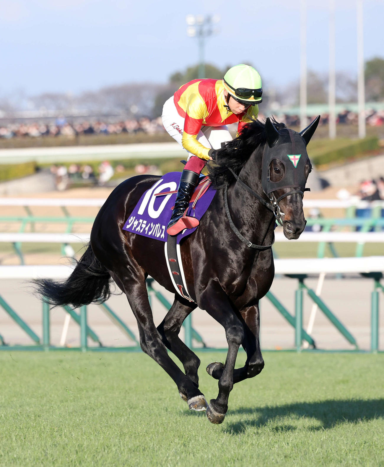 有馬記念に出走したジャスティンパレス（23年12月24日撮影）