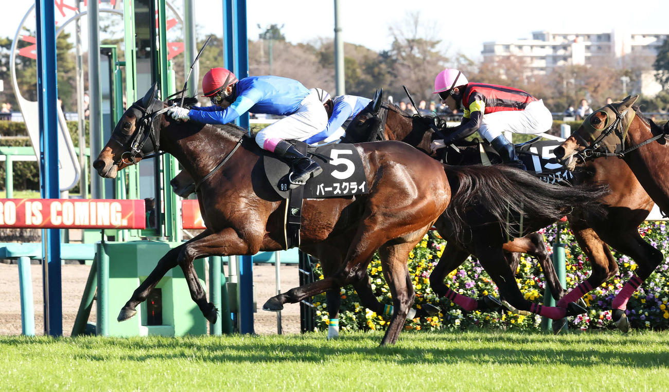 南総Sを制したバースクライ（左）（23年12月3日撮影）