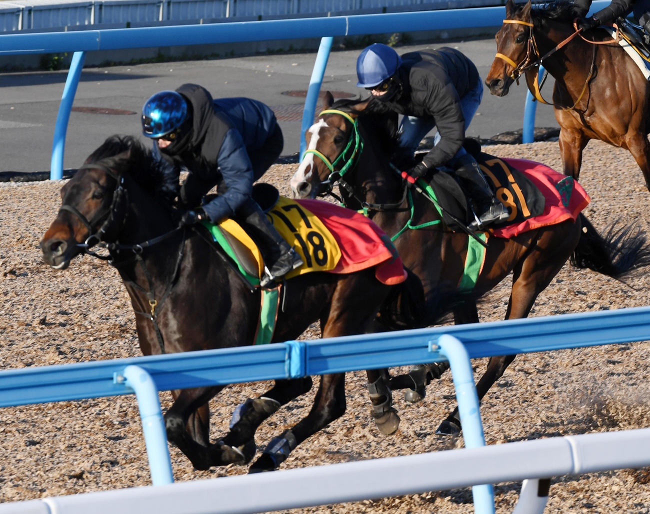 アドミラルシップ（右）はマイネルダグラスと併せて追い切る（撮影・柴田隆二）