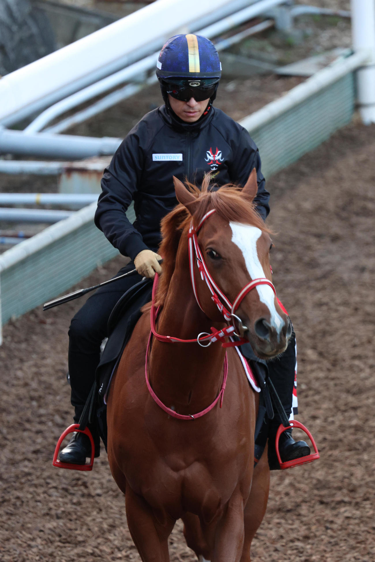 川田騎手が騎乗したシンエンペラー