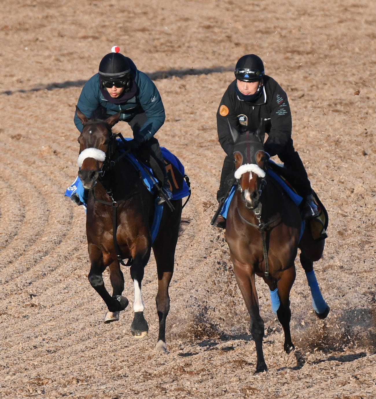 ミラビリスマジック（左）はパロサントと併せて追い切る（撮影・柴田隆二）