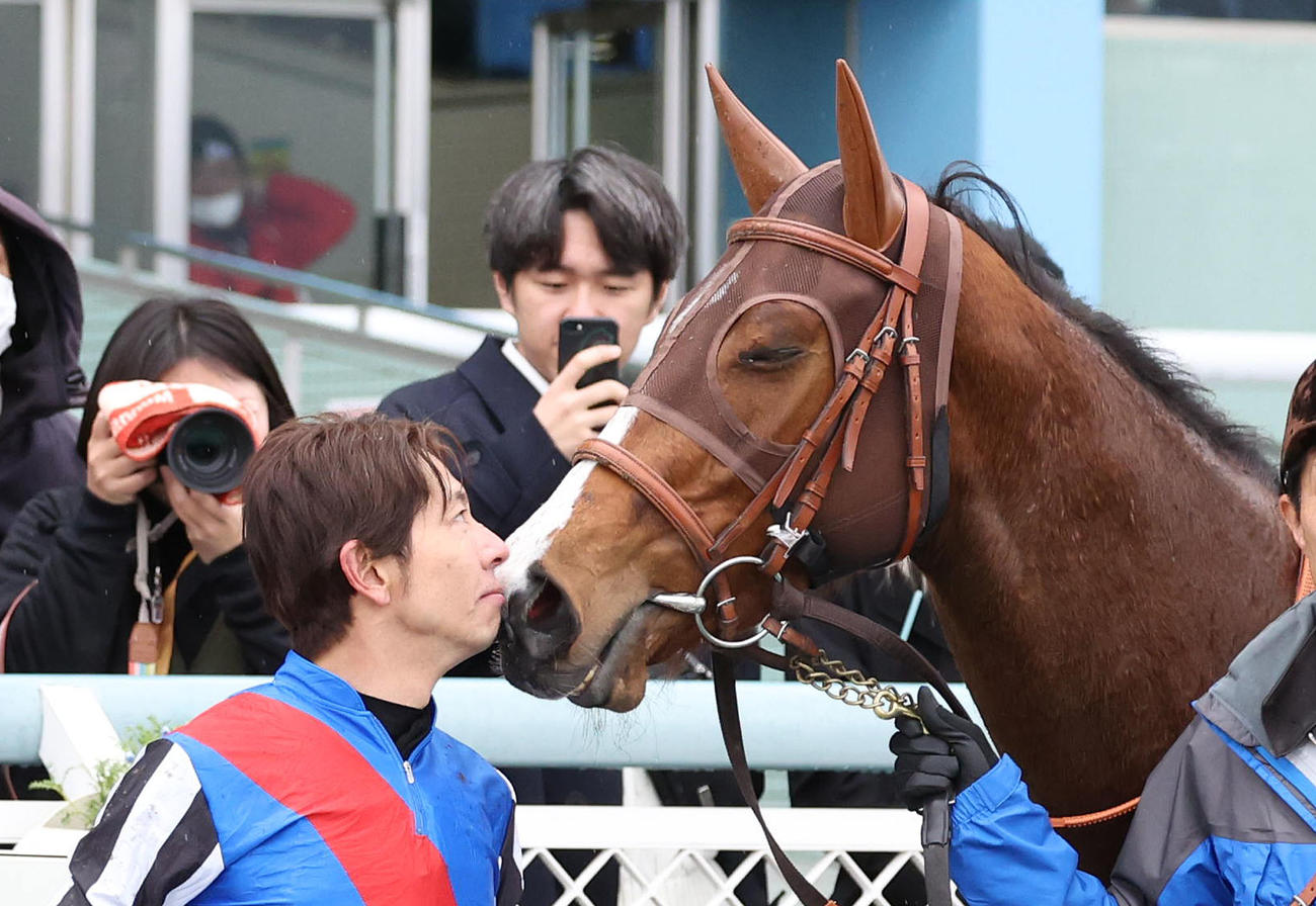 マーガレットSを制したナナオにキスする和田竜二騎手（2024年2月25日撮影）