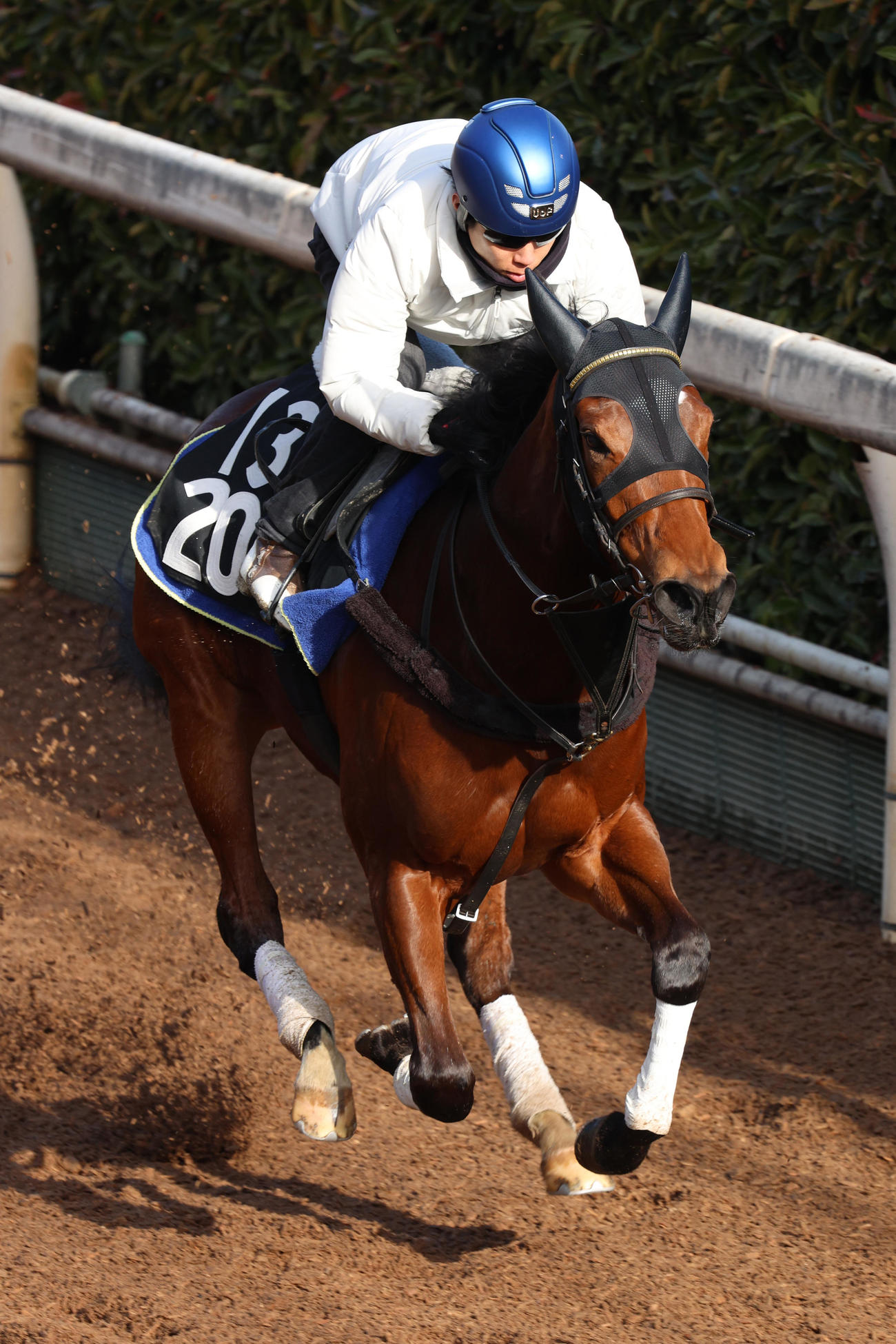 北村友騎手を背に坂路で追い切られたワイドラトゥール