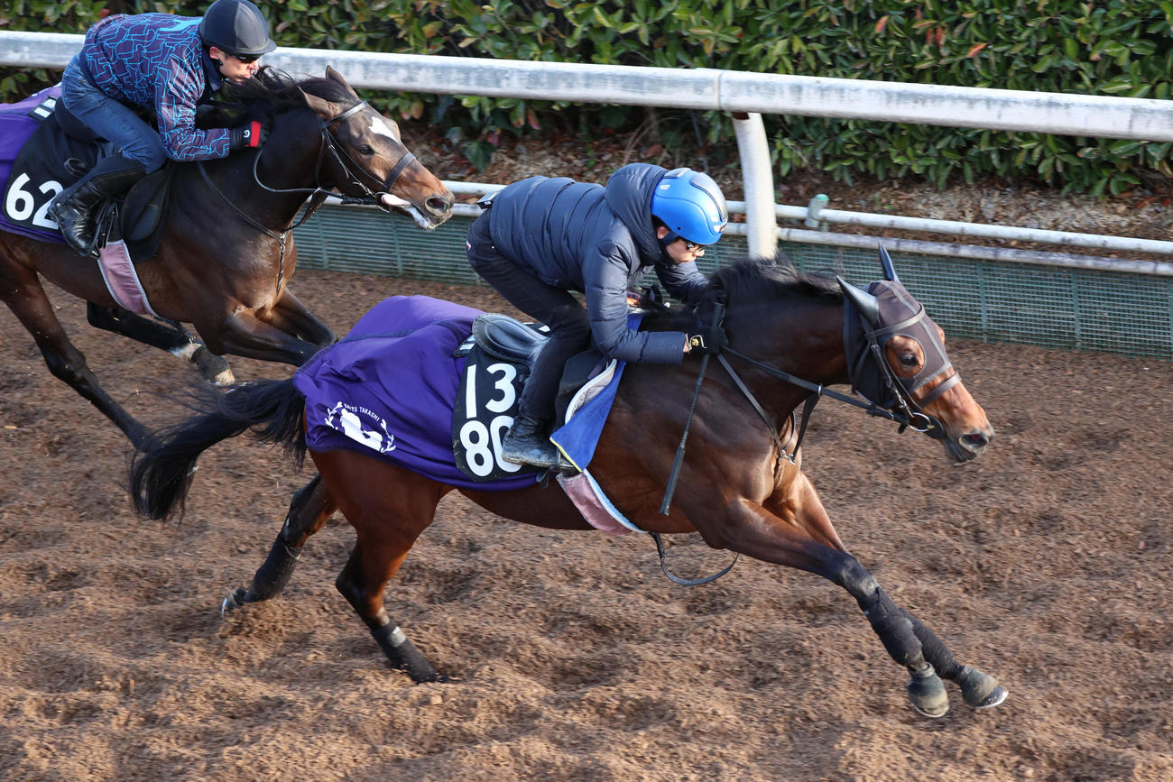 団野騎手を背に、坂路で併せたアルヒジュル（左）に先着するタガノエルピーダ