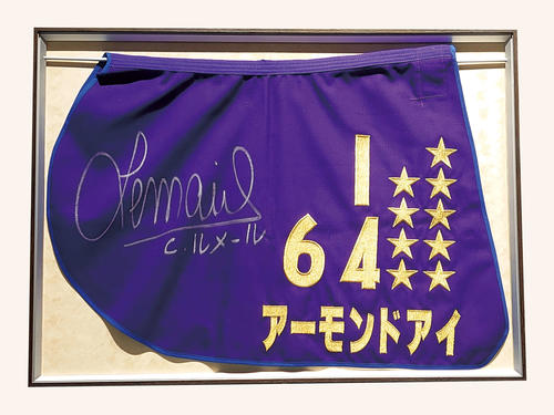 アーモンドアイJRA顕彰馬祝賀トークショーを3・14に実施、秋盾使用の