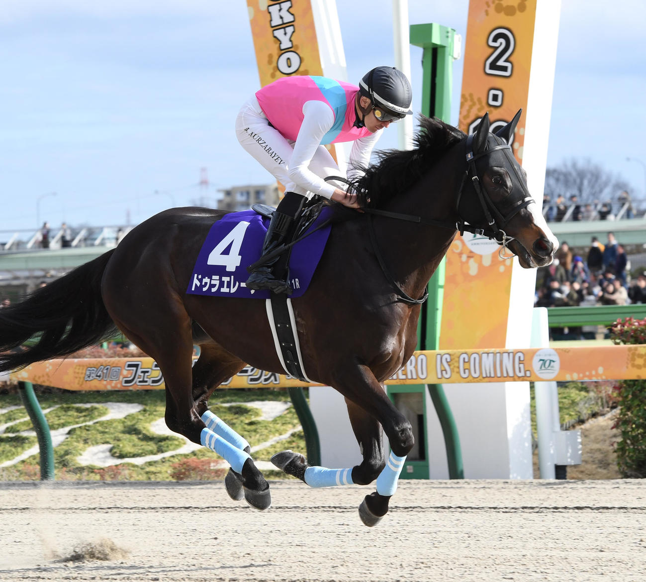 フェブラリーS12着に敗れたドゥラエレーデ