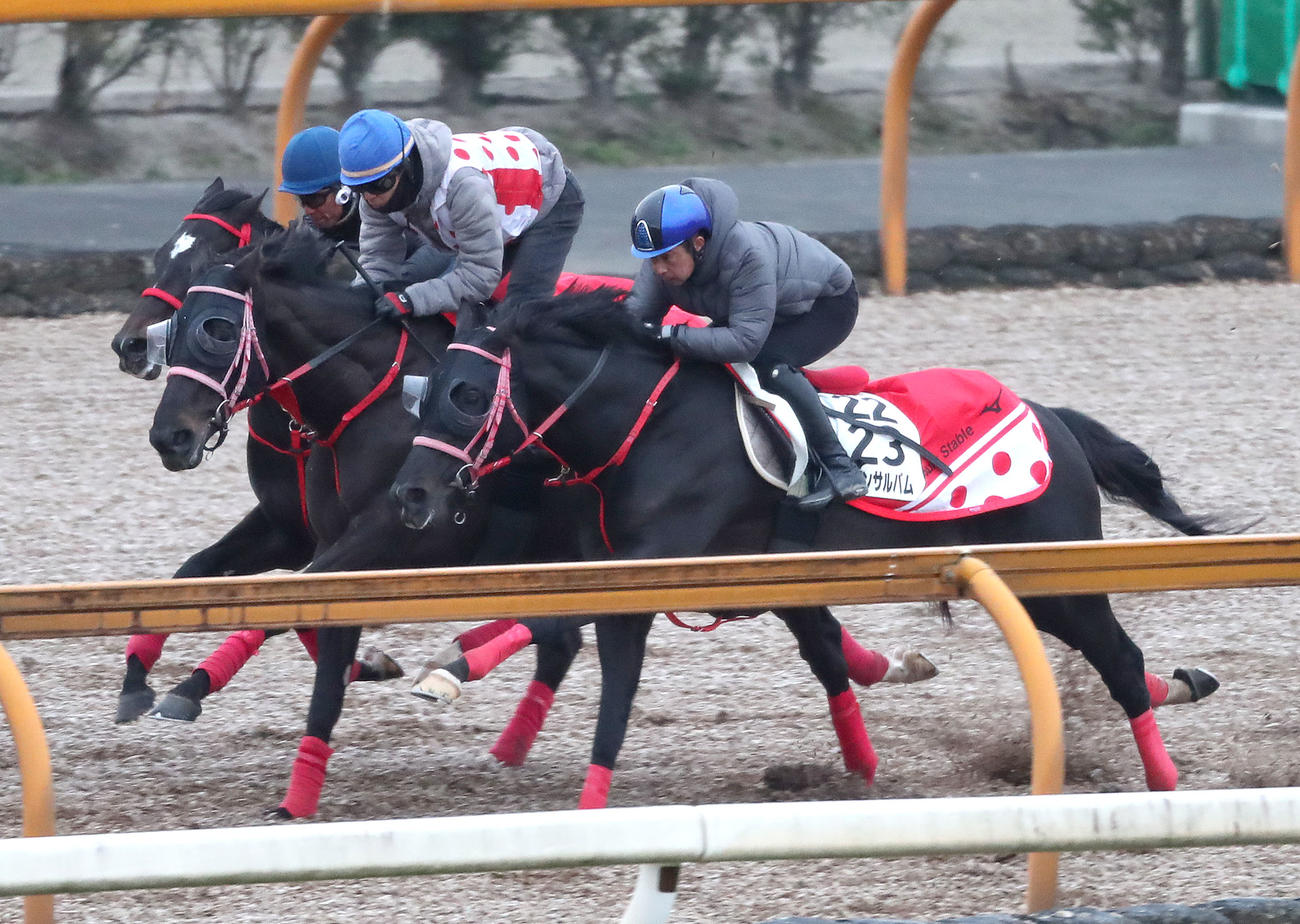 岩田康騎手を背にCウッドを3頭併せで追い切るヤマニンサルバム（右）（撮影・白石智彦）