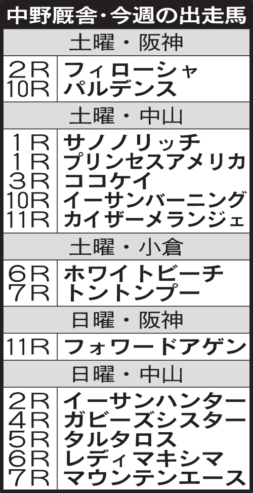 中野厩舎・今週の出走馬