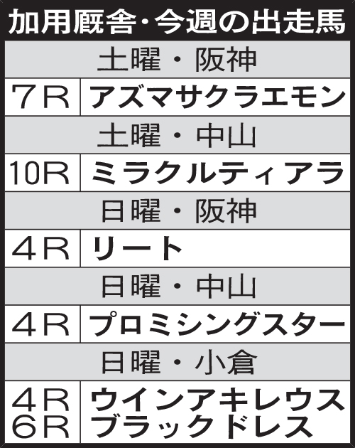 加用厩舎・今週の出走馬