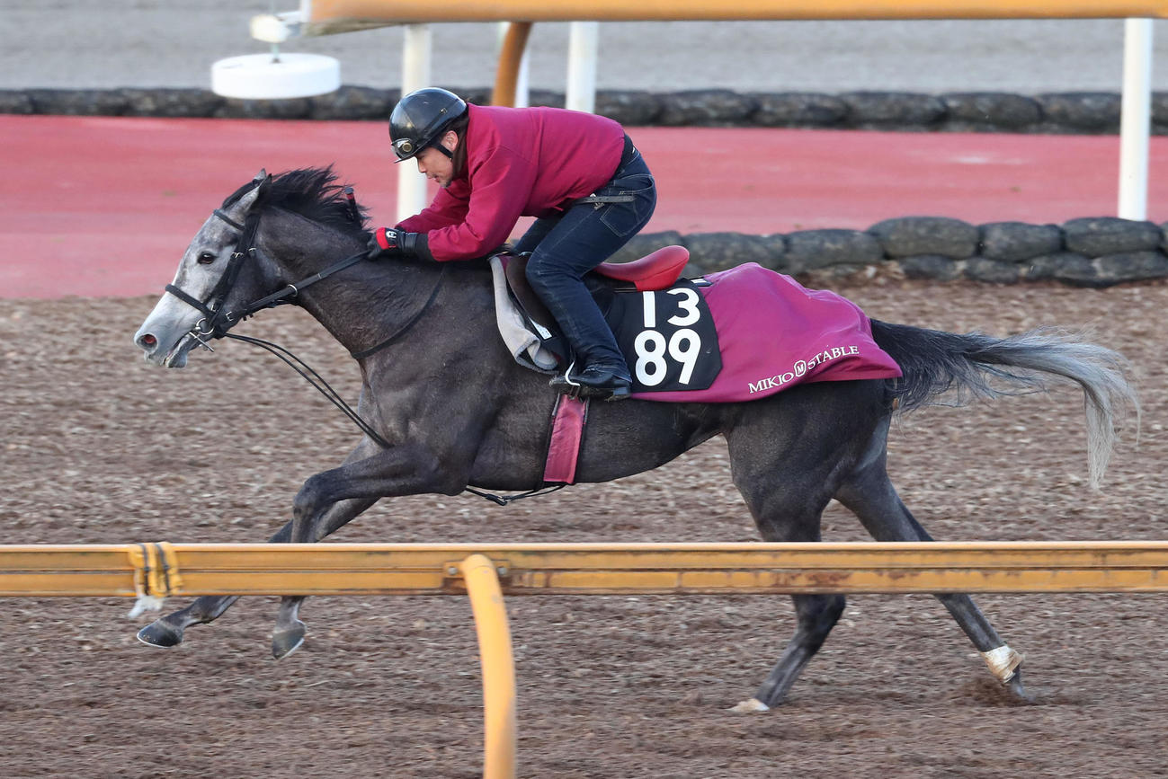 2月28日、Cウッドを併せ馬で追い切るハワイアンティアレ