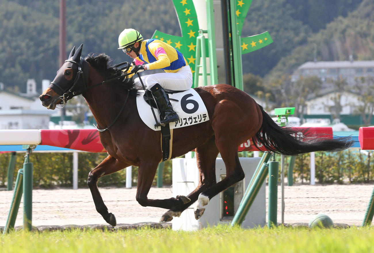 小倉8R・4歳上1勝クラス1着のアリスヴェリテと柴田裕騎手（撮影・冨田成美）