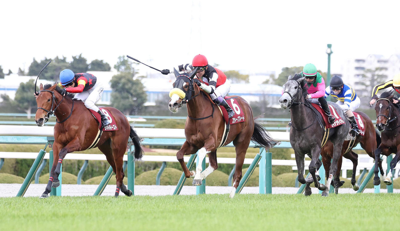 直線外から伸びてチューリップ賞を快勝したスウィープフィート（中央）（撮影・白石智彦）