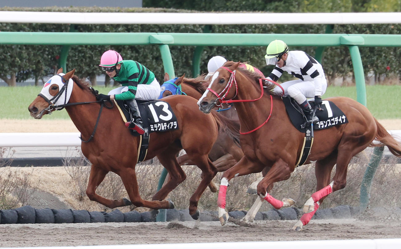 上総Sを制したミラクルティアラ（左）、2着フランスゴデイナ（右）（撮影・柴田隆二）