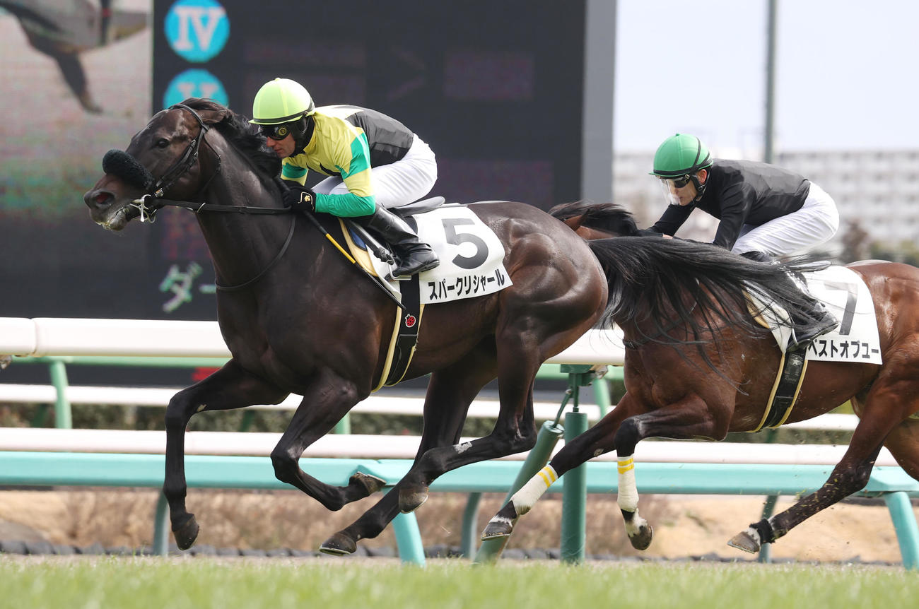 久野記者が馬連を的中させた中山6R1着のスパークリシャール（左）と2着ベストオブユー（撮影・柴田隆二）