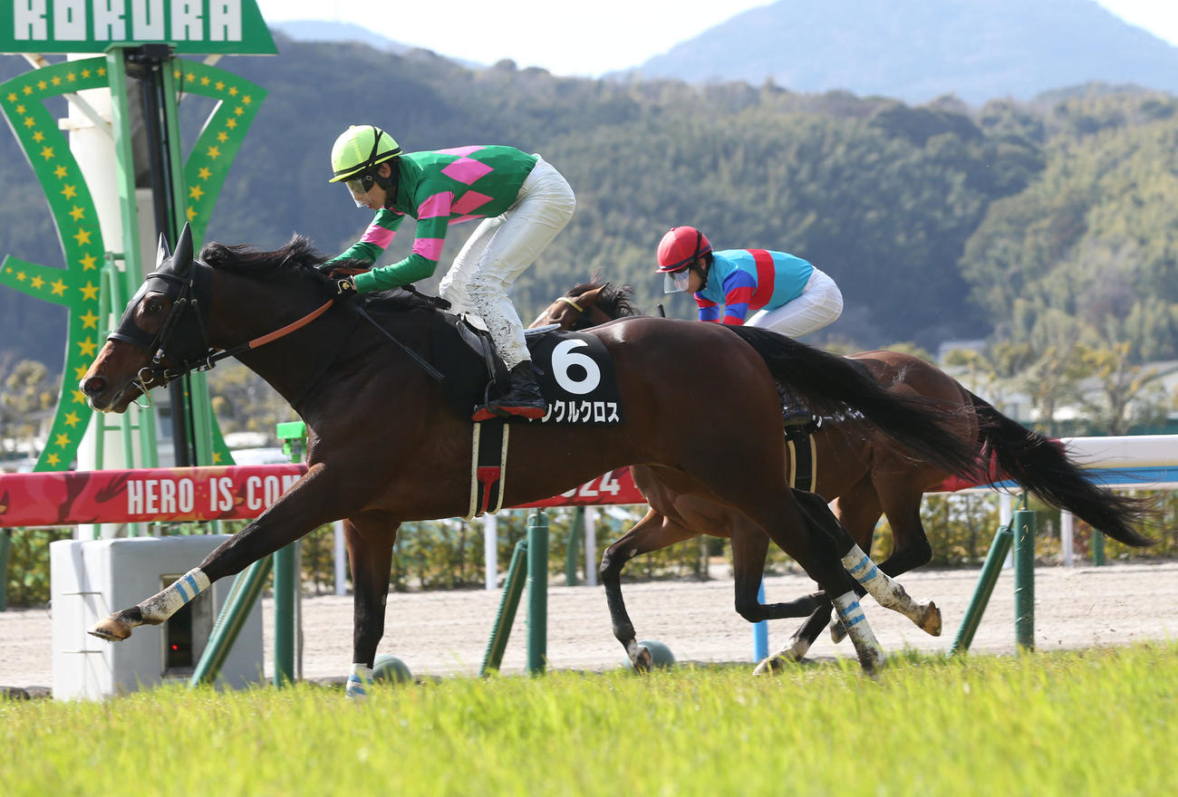 小倉9R、あざみ賞を制したアンクルクロスと長岡騎手（手前）（撮影・冨田成美）