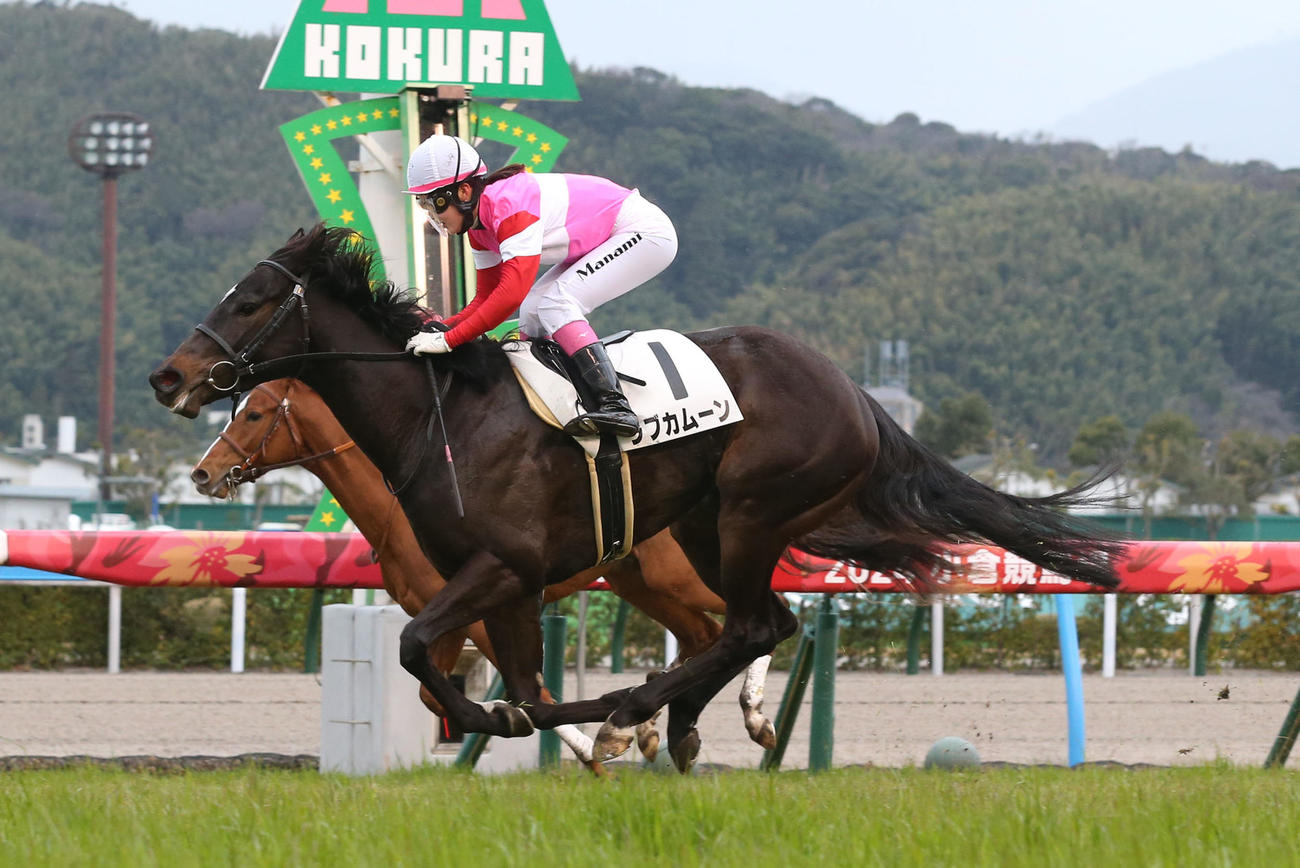 小倉1R・3歳未勝利　1着のラブカムーンと永島騎手（撮影・冨田成美）