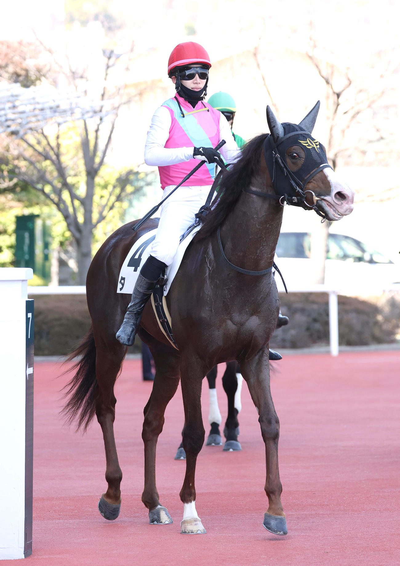 阪神2R、3歳未勝利を勝ち上がったタキ（撮影・白石智彦）