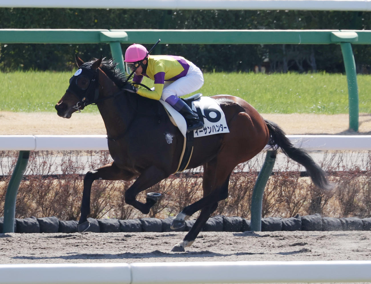 中山2Rで1着のイーサンハンターと武豊騎手（撮影・柴田隆二）