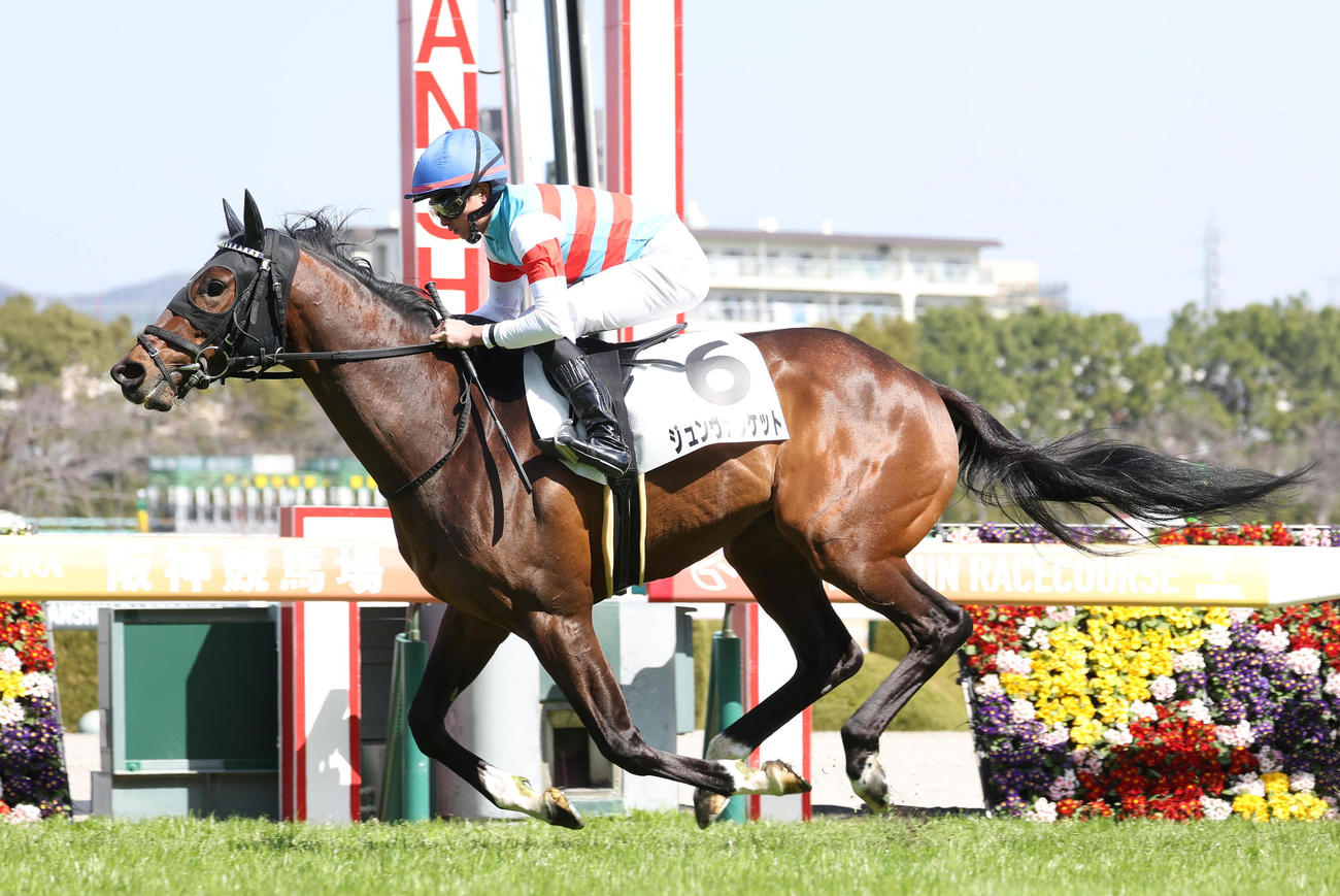 阪神4R、初出走の3歳未勝利を快勝したジュンヴァンケット（撮影・白石智彦）