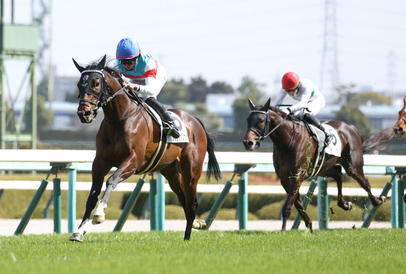 阪神4R、初出走の3歳未勝利を快勝したジュンヴァンケット（左）（撮影・白石智彦）