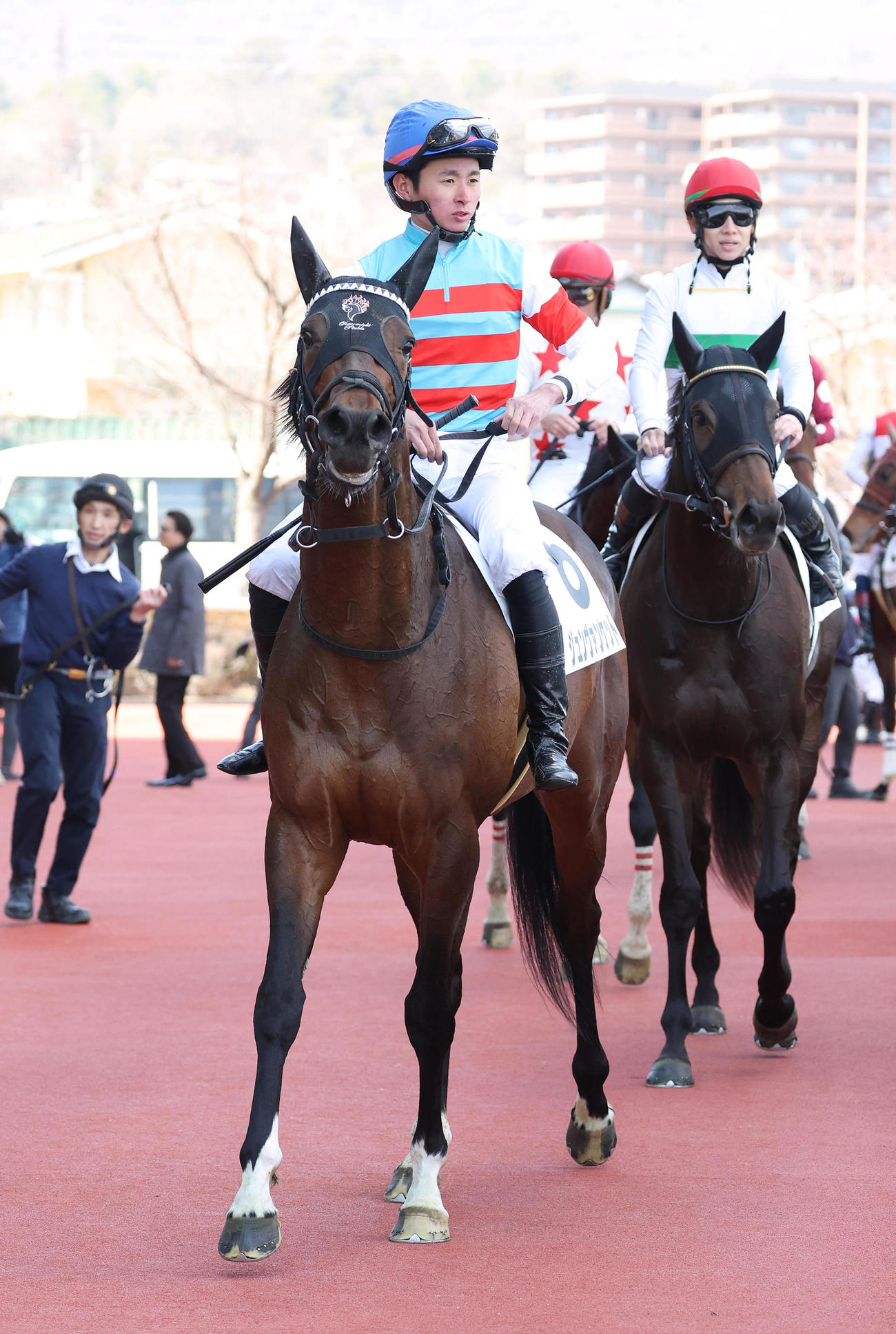 阪神4R、3歳未勝利を快勝したジュンヴァンケット（撮影・白石智彦）