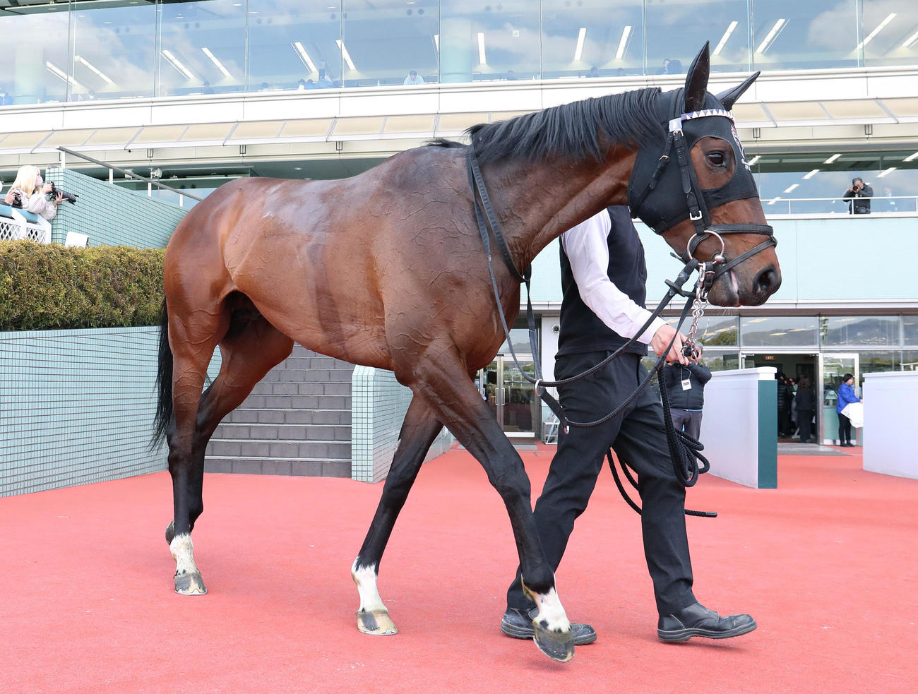阪神4R、3歳未勝利を快勝したジュンヴァンケット（撮影・白石智彦）