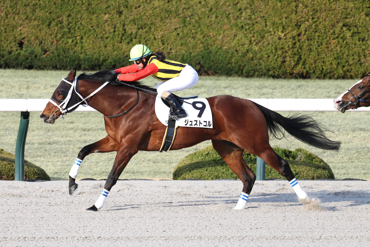 ジュストコルで阪神12Rを制して復帰後初勝利を挙げた古川奈騎手（撮影・白石智彦）