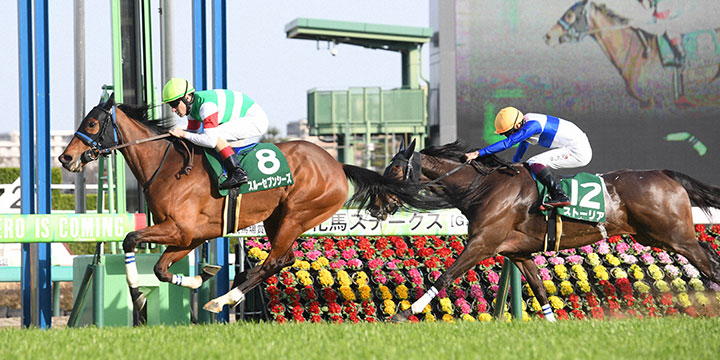 中山牝馬Sを制したスルーセブンシーズ。右は2着ストーリア（撮影・柴田隆二）＝2023年3月11日、中山競馬場