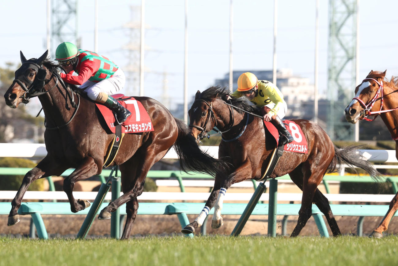 弥生賞3着に敗れたシリウスコルト（中央）。左は勝ったコスモキュランダ（撮影・柴田隆二）