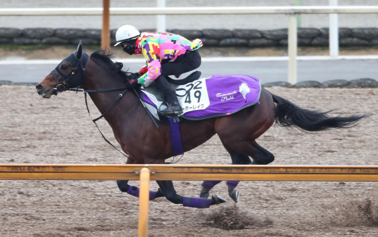 藤岡康騎手を背にCウッドを単走で追い切るヨーホーレイク（2024年2月29日撮影）