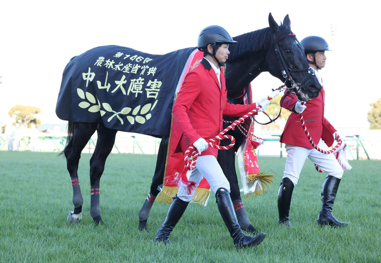 中山大障害を制したマイネルグロン（2023年12月23日撮影）