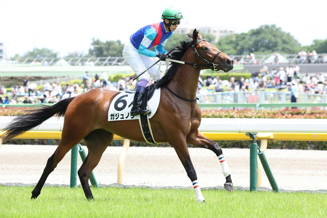 23年6月、2歳新馬戦に出走したガジュノリ